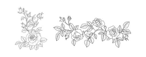 Rose flower arrangement line art on white background. Silhouette roses botanical hand drawn element for wedding, invitation frame design illustration vector
