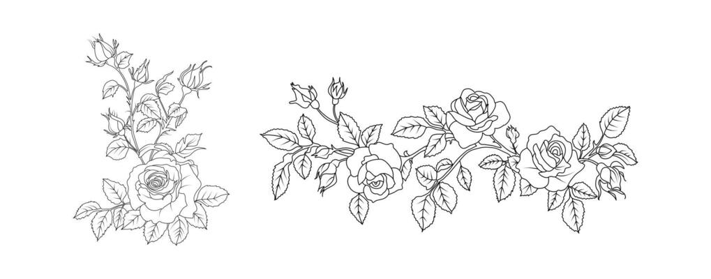 Rose flower arrangement line art on white background. Silhouette roses botanical hand drawn element for wedding, invitation frame design illustration