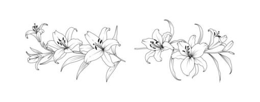 Lily flower arrangement line art on white background. Silhouette lilies botanical hand drawn element for wedding, invitation frame design illustration vector