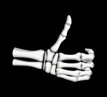 Skeleton hand showing thumb up with bony fingers vector