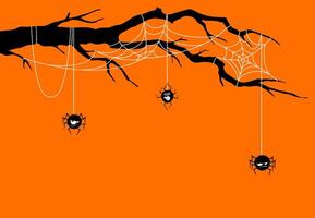 Cartoon Halloween cobweb and spiders on branch vector