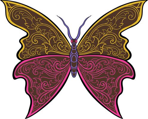 Beautiful classic style butterfly