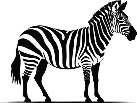 Zebra Artwork, A Monochromatic Masterpiece of a Zebra vector