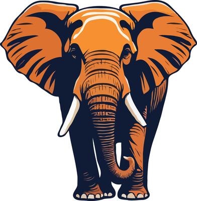 Enchanting Elephant Graphic T-Shirt Illustration