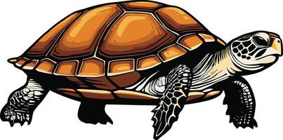 Minimalist Serene Turtle Art vector
