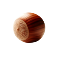 Hazel nut on a transparent background png