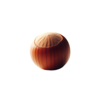 Nut on a transparent background png