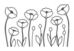 Vibrant Poppy Field Line Art Design vector