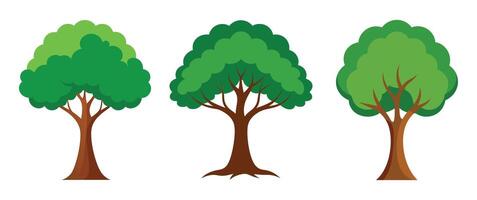 Elegant Tree Set on White Background vector