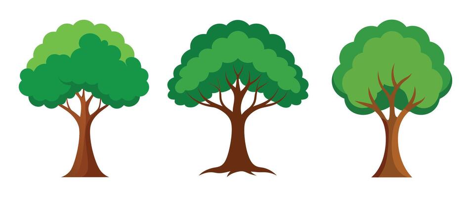 Elegant Tree Set on White Background