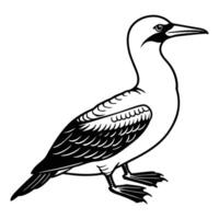 Gannet Bird Silhouette Art Design vector