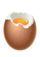 Egg - soft boiled egg, with shell, white and yolk, illustration isolated on white background vector