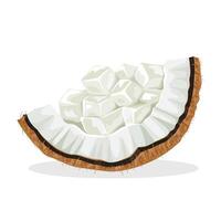 Illustration of nata de coco, also called coconut jelly, on a coconut, isolated on a white background. vector