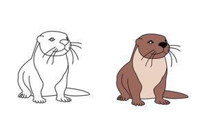 illustration of Sea otter. otter isolated on white background. vector