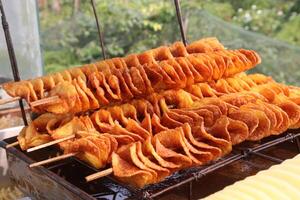 Spiral Fried Potato with stick on shop photo