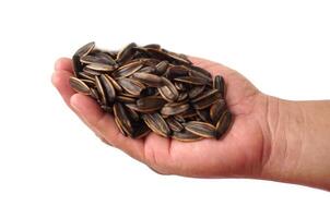 Hand hold sunflower seeds, isolated on white background. Concept, agriculture crops. Edible flower seeds as snack or food ingredient. Raw seeds can be grown to expand breed for next time growing. photo