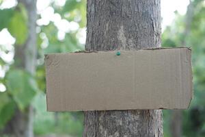 Blank paper card board for adding texts or words, sticked on trunk of tree. Concept, Sign and notice. Announcement. Giving information. photo