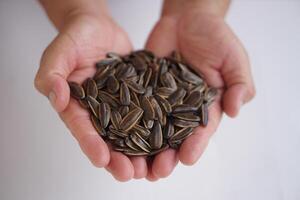 Hand hold sunflower seeds, isolated on white background. Concept, agriculture crops. Edible flower seeds as snack or food ingredient. Raw seeds can be grown to expand breed for next time growing. photo