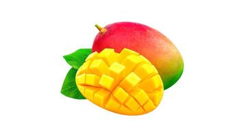 mango art on white background photo