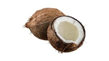 coconut on a white background photo