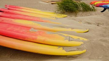 SUP boards in the row for rent on a sandy beach by the sea. Surfing and paddleboard equipment close-up. Abstract background from summer travel. Sports recreation. photo