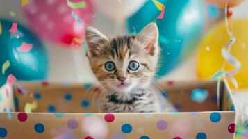 Adorable Kitten In Polka Dot Box Amid Colorful Balloons And Confetti Celebrating A Joyful Party photo