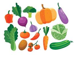 vegetable element set design vector