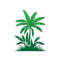 Banana Tree Silhouette Icon. Illustration of Banana Tree. Banana tree with fruit symbol. Banana tree sign. vector