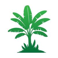 Banana Tree Silhouette Icon. Illustration of Banana Tree. Banana tree with fruit symbol. Banana tree sign. vector