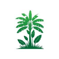 Banana Tree Silhouette Icon. Illustration of Banana Tree. Banana tree with fruit symbol. Banana tree sign. vector