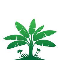 Banana Tree Silhouette Icon. Illustration of Banana Tree. Banana tree with fruit symbol. Banana tree sign. vector