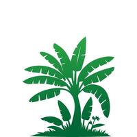 Banana Tree Silhouette Icon. Illustration of Banana Tree. Banana tree with fruit symbol. Banana tree sign. vector
