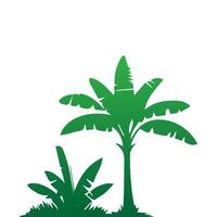 Banana Tree Silhouette Icon. Illustration of Banana Tree. Banana tree with fruit symbol. Banana tree sign. vector