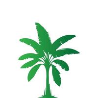 Banana Tree Silhouette Icon. Illustration of Banana Tree. Banana tree with fruit symbol. Banana tree sign. vector