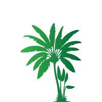 Banana Tree Silhouette Icon. Illustration of Banana Tree. Banana tree with fruit symbol. Banana tree sign. vector