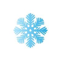 Snowflake icon. Snow winter day weather symbol. vector
