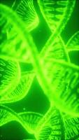 structure of the DNA double helix animation video