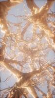 Journey through a neuron cell network inside the brain video