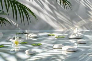 Spa setting with white stones, lily flowers, and sun shadows, forming a serene background on a transparent backdrop, Generated AI photo
