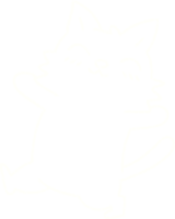a cat drawing on a transparent background png