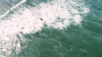 aerial drone view of a man on a body board enjoying the waves video