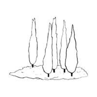 Cypress trees grove simple line illustration. Coniferous evergreen plants on grass hill. Black and white landscape element. Hand-drawn nature sketch vector