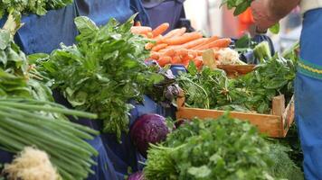 Fresh vegetables like spinach, lettuce, and eggplants are available at the market for purchase video