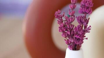 Purple flowers are arranged in a white vase on an abstract background with an aesthetic touch video