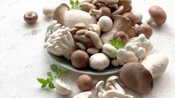 Assortment of various raw mushrooms on gray concrete background video