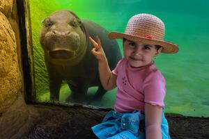 a young girl stands by the glass wall of the hippo pool looking at the large animal. High quality photo