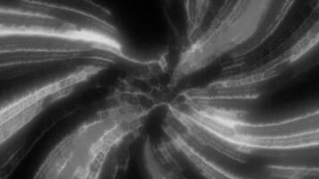 Shiny lines diverging in different directions. Motion. Black background with white stripes in abstraction diverging in different directions. video