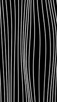 Hypnotic vertical lines move on black background. Motion. White curved threads move downwards. Vertical lines move slowly down waterfall video