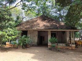 illustration of a traditional old house in the middle of the forest photo