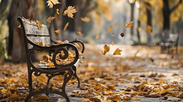 rustic bench in a park at autumn with golden leaves gently falling around photo